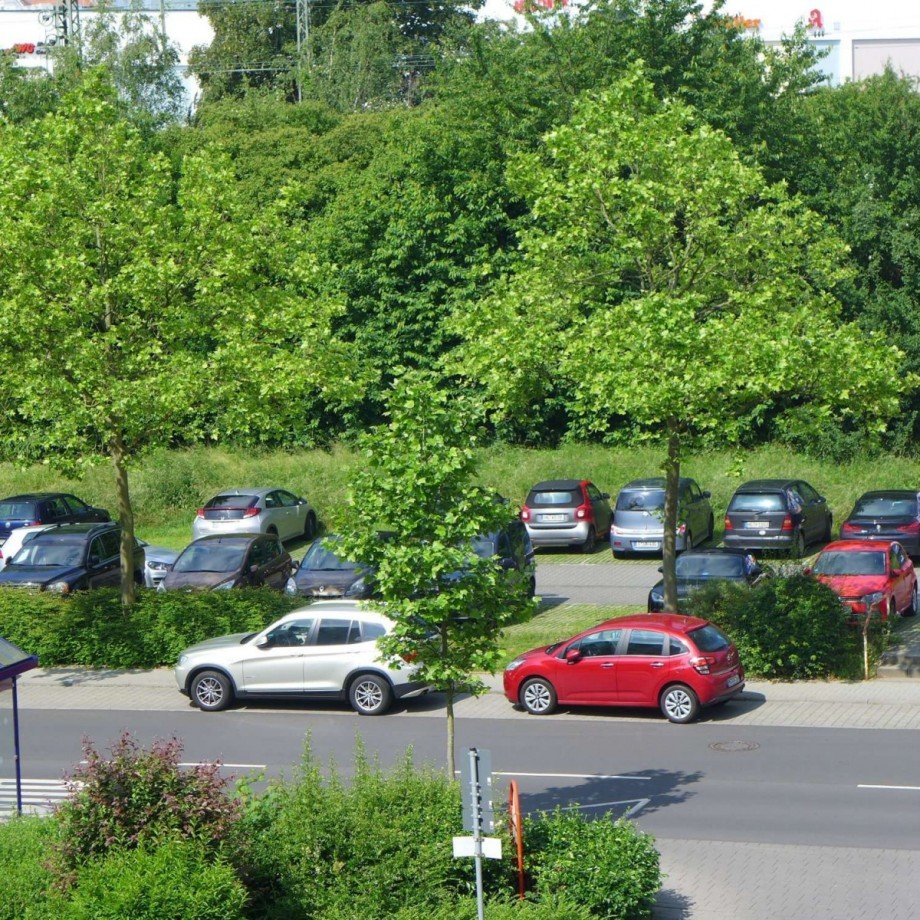 Parkpl�tze B�ro / Praxis Friedrichsdorf