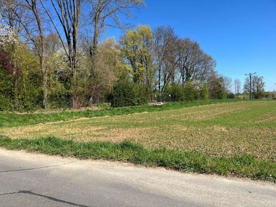 In direkter Nachbarschaft Villa Bad Homburg vor der H�he