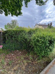 a Grundst�ck 03 Mit Planung + Baugenehmigung f�r 3 FH mit 294m� Wfl., sofort bebaubar, N�he Main in Gr�nlage!