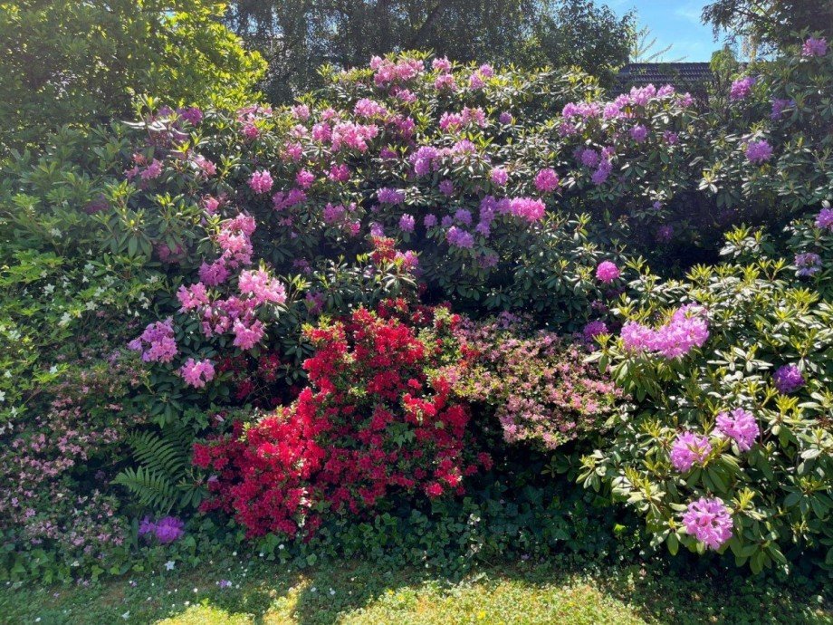 Garten Villa Bad Homburg vor der H�he