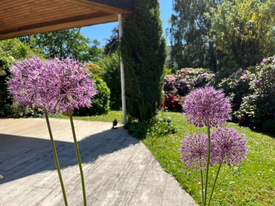 Terrasse Villa Bad Homburg vor der H�he