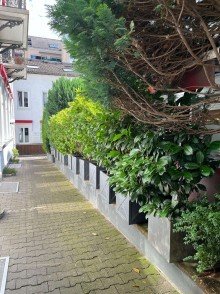 Innenhof Stilaltbauwohnung mit gro�en, hohen R�umen und Einbauk�che in der Fu�g�ngerzone!